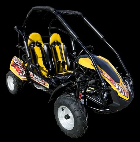 TrailMaster Blazer 200R Mid Go- Karts