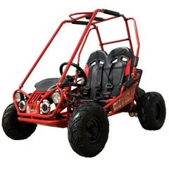 Trailmaster Mini XRX+ 2- Seater GO-KART EAGLE SERIES 163cc Blues