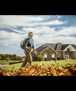 Alternative view of STIHL BR 450 Backpacks Blower
